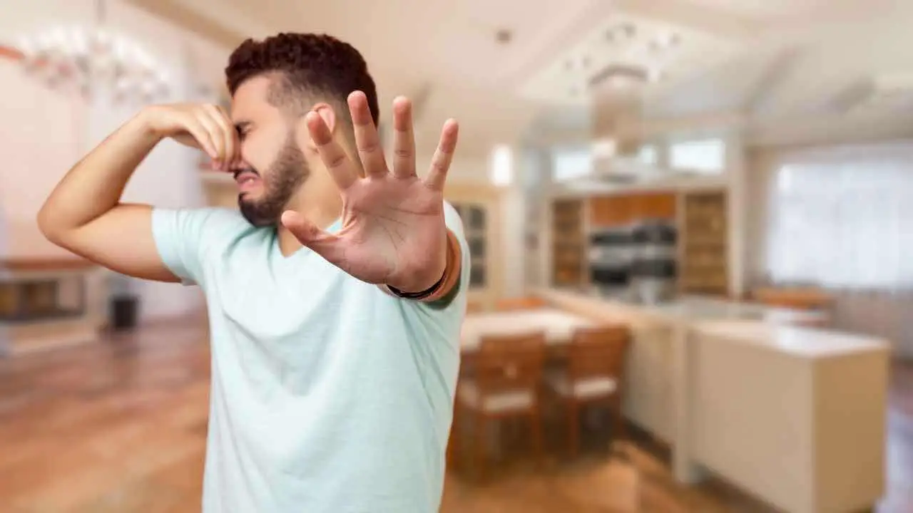 Il rimedio naturale per togliere la puzza di chiuso dalla casa: il risultato è sorprendente